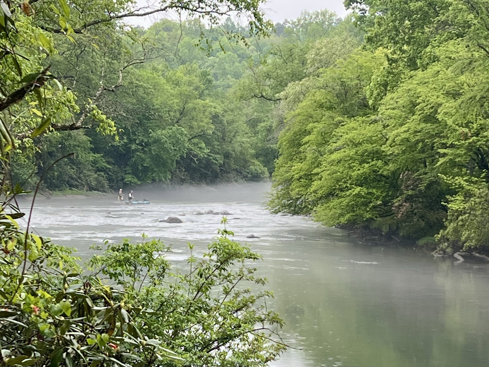 Morning Time Trout Fishing